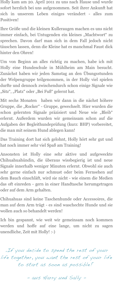 Holly kam am 20. April 2011 zu uns nach Hause und wurde sofort herzlich bei uns aufgenommen. Seit ihrer Ankunft hat sich in unserem Leben einiges verändert - alles zum Positiven!
Ihre Größe und die kleinen Kulleraugen machen es uns nicht immer einfach, bei Untugenden ein kleines „Machtwort“ zu sprechen. Davon darf man sich in dem Fall jedoch nicht täuschen lassen, denn die Kleine hat es manchmal Faust dick hinter den Ohren! 
Um von Beginn an alles richtig zu machen, habe ich mit Holly eine Hundeschule in Mühlheim am Main besucht. Zunächst haben wir jeden Samstag an den Übungsstunden der Welpengruppe teilgenommen, in der Holly viel spielen durfte und dennoch zwischendurch schon einige Signale wie „Sitz“, „Platz“ oder „Bei Fuß“ gelernt hat. 
Mit sechs Monaten  haben wir dann in die nächst höhere Gruppe, die „Rocker“ - Gruppe, gewechselt. Hier wurden die schon gelernten Signale präzisiert und Neue wie „Bleib“ erlernt. Außerdem wurden wir gemeinsam schon auf die Aufgaben der Begleithundeprüfung (kurz: BHP) vorbereitet, die man mit seinem Hund ablegen kann!
Das Training dort hat sich gelohnt, Holly hört sehr gut und hat noch immer sehr viel Spaß am Training!
Ansonsten ist Holly eine sehr aktive und aufgeweckte Chihuahuahündin, die überaus wissbegierig ist und neue Signale innerhalb weniger Minuten erlernt. Obwohl sie auch sehr gerne einfach nur schmust oder beim Fernsehen auf dem Bauch einschläft, wird sie nicht - wie einem die Medien das oft einreden - gern in einer Handtasche herumgetragen oder auf dem Arm gehalten. 
Chihuahuas sind keine Taschenhunde oder Accessoires, die man auf dem Arm trägt - es sind waschechte Hunde und sie wollen auch so behandelt werden! 
Ich bin gespannt, wie weit wir gemeinsam noch kommen werden und hoffe auf eine lange, um nicht zu sagen unendliche, Zeit mit Holly! :-)

„If you decide to spend the rest of your life together, you want the rest of your life to start as soon as possible!“
- aus Harry und Sally - 